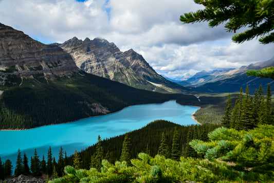 Peyto Lake Reflection Wall Art